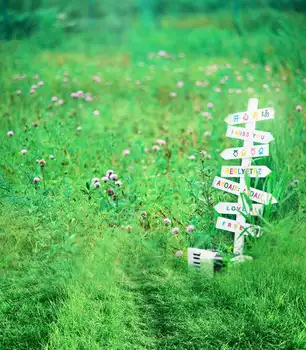 TR пролет природа пейзаж на фона на зелената трева прерийните цветя на фона на сватбената фото студио фон детски децата фон
